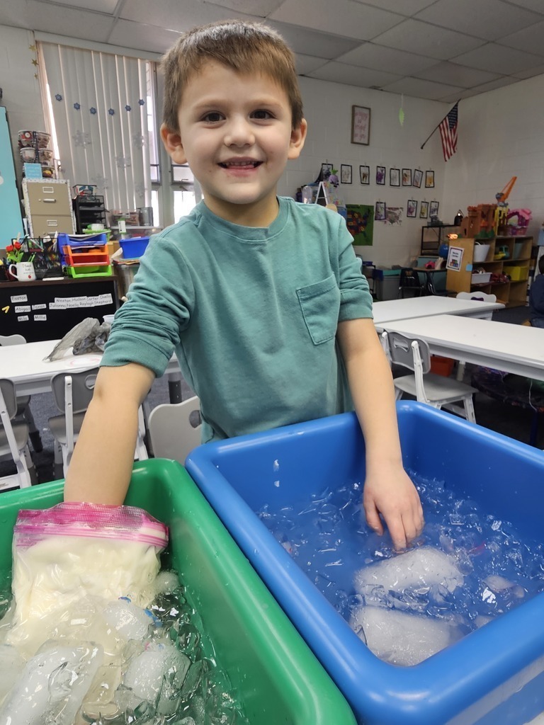 Watauga Elementary School Arctic Animals 