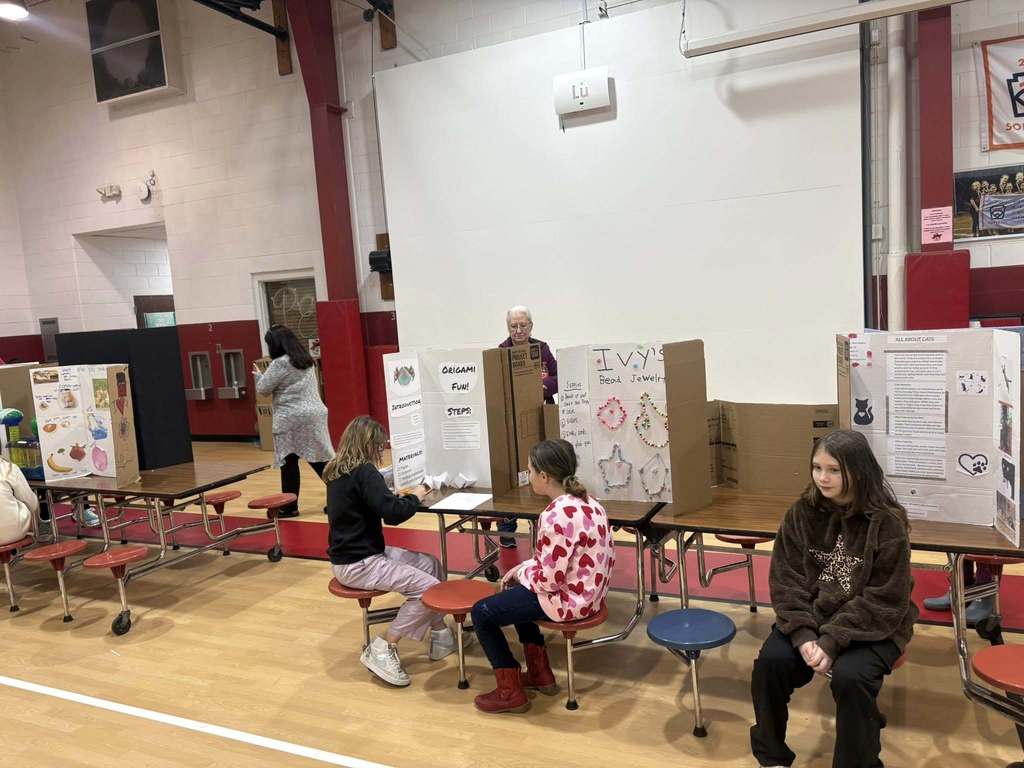 Rhea Valley Elementary School Science Fair 