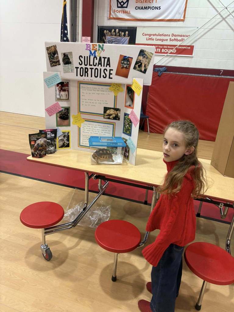 Rhea Valley Elementary School Science Fair 
