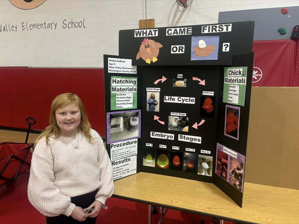 Rhea Valley Elementary School Science Fair 