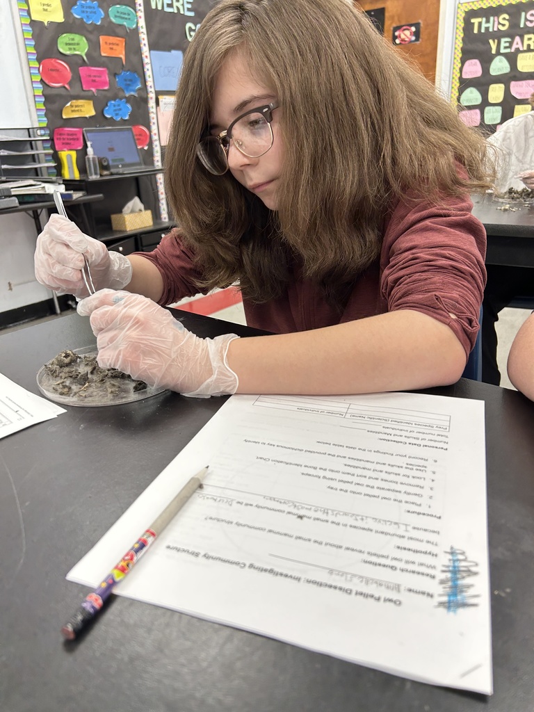 A student dissects owl pellets.