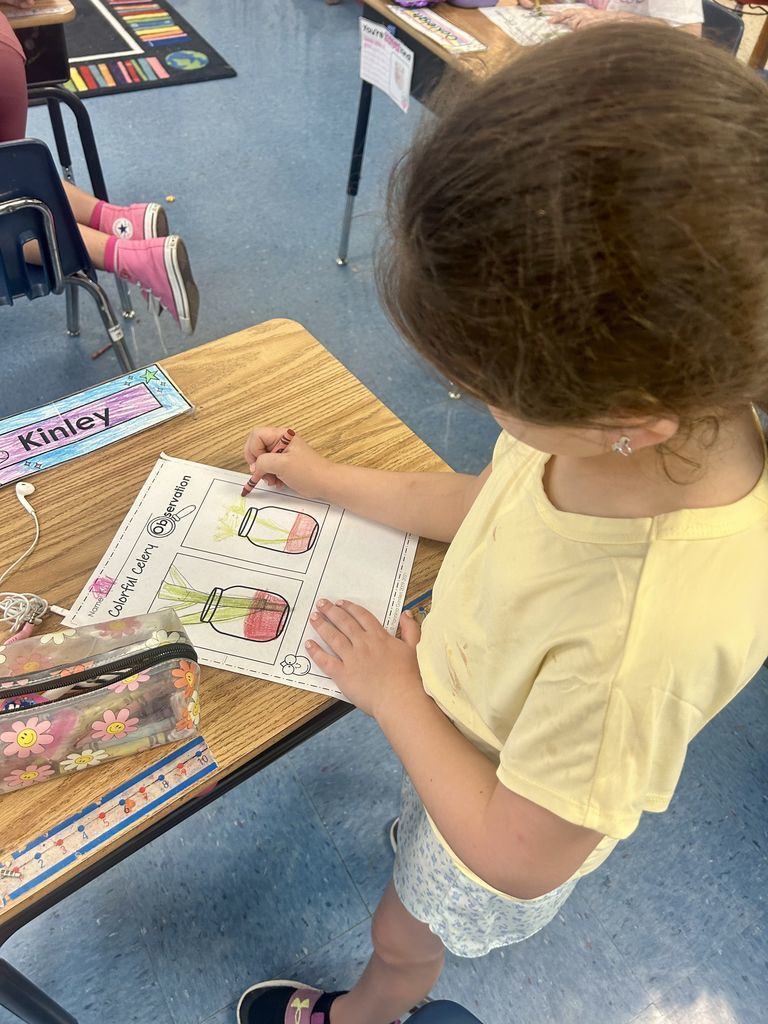 Meadowview Elementary School Plant Growing 