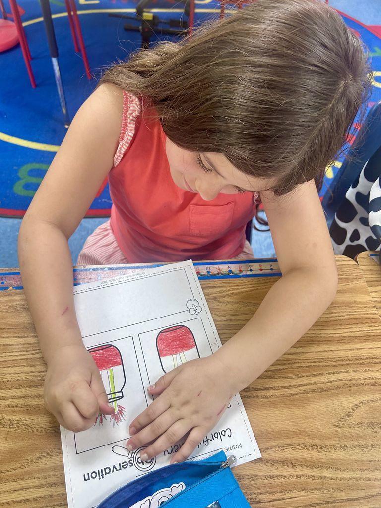 Meadowview Elementary School Plant Growing 