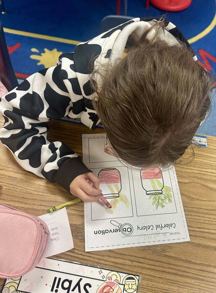 Meadowview Elementary School Plant Growing 