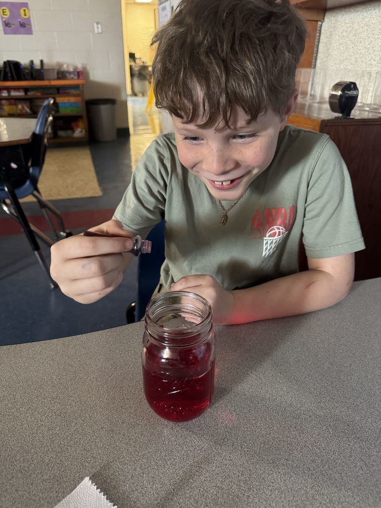 Meadowview Elementary School Plant Growing 