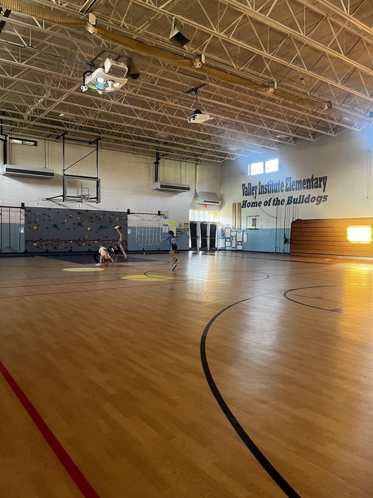 Valley Institute Elementary School Literacy Glow Party