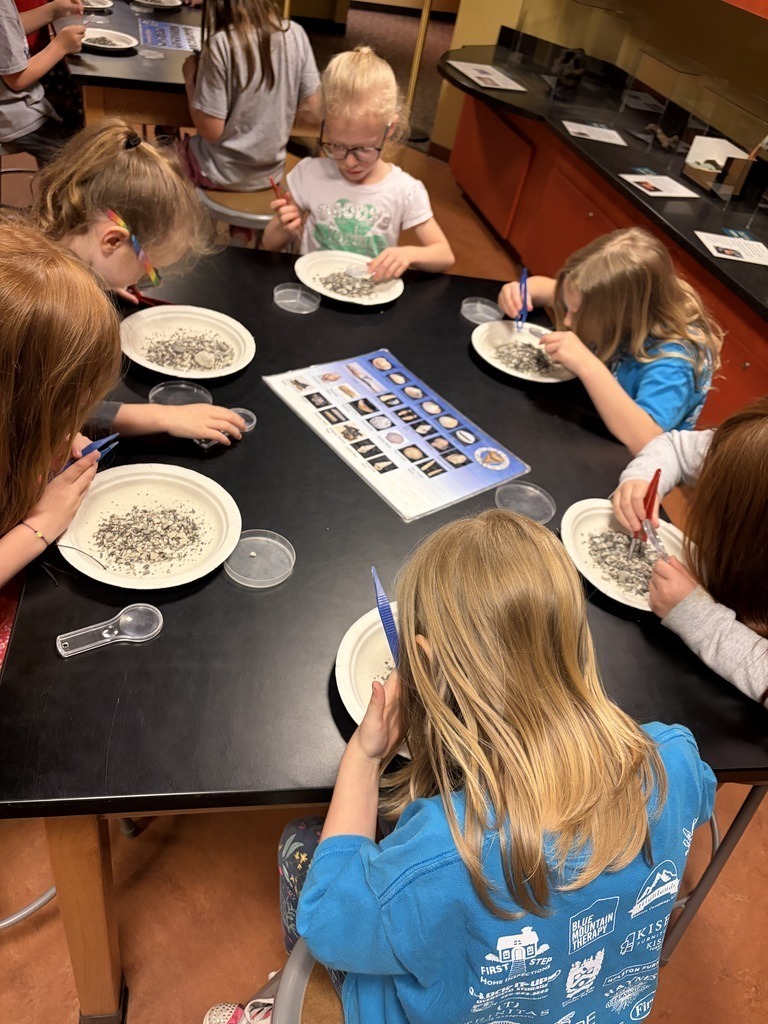 Meadowview Elementary School Fossil Fun at Hands On Discovery Center