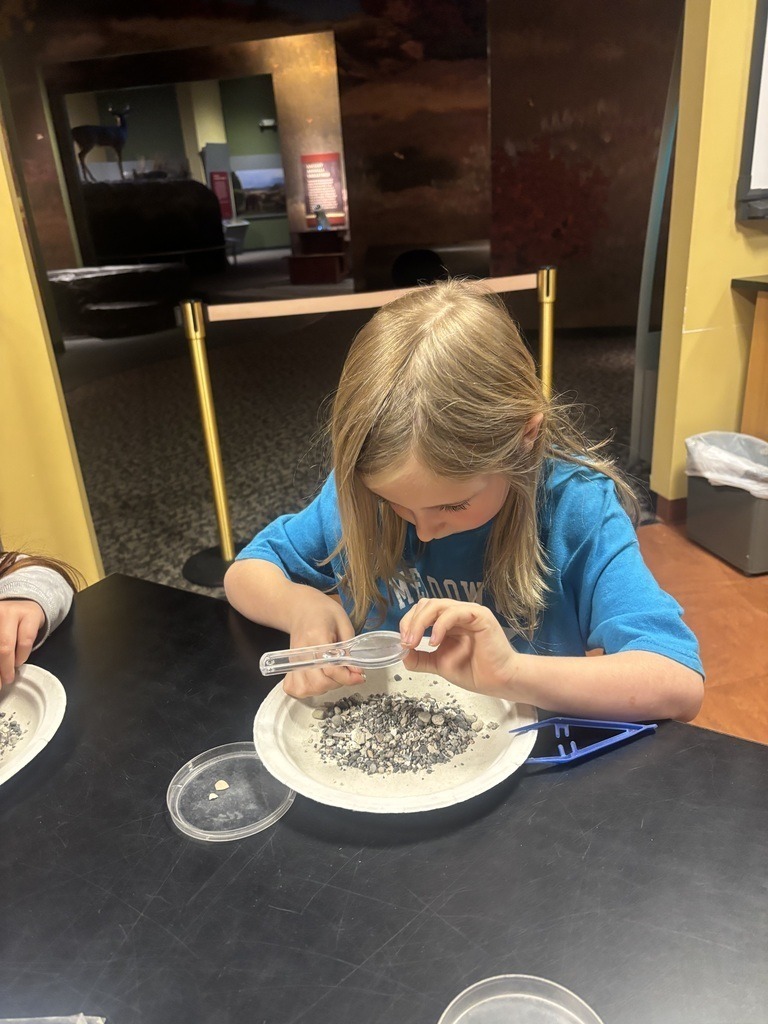 Meadowview Elementary School Fossil Fun at Hands On Discovery Center