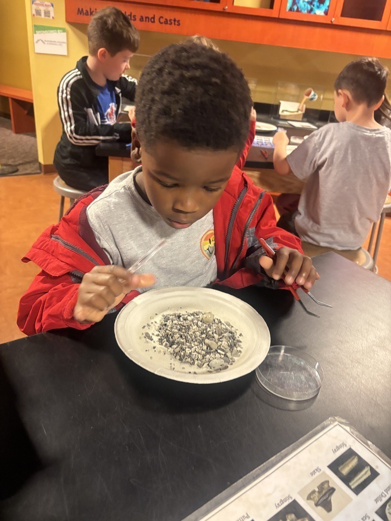 Meadowview Elementary School Fossil Fun at Hands On Discovery Center