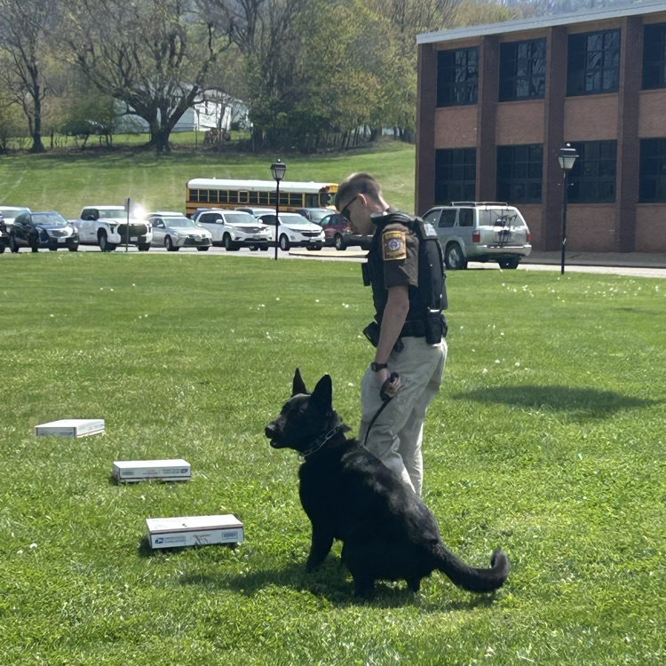 A police officer walks with a K9 officer.