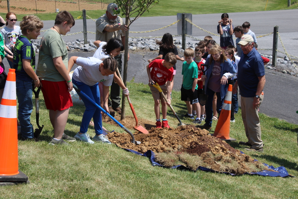 Students planting a tree