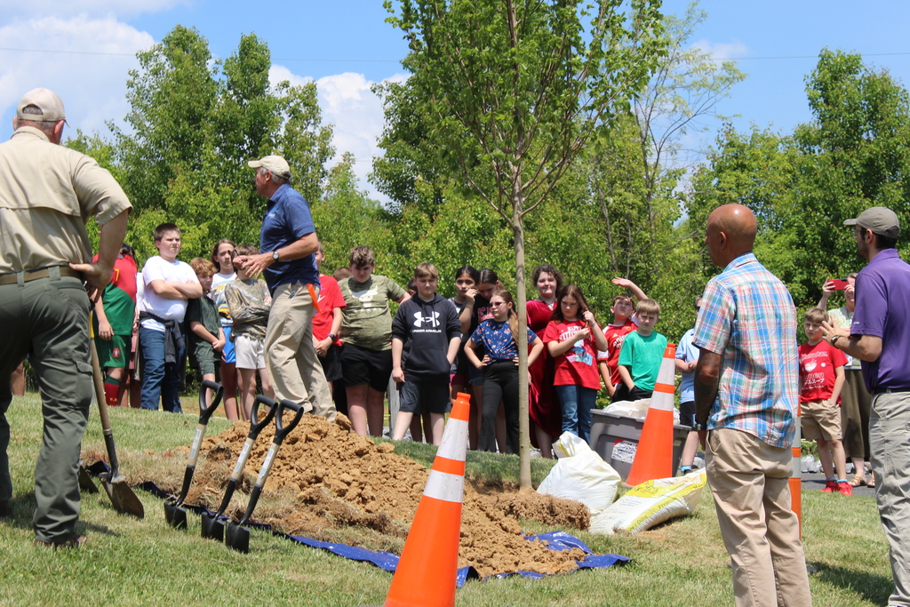 Students planting a tree