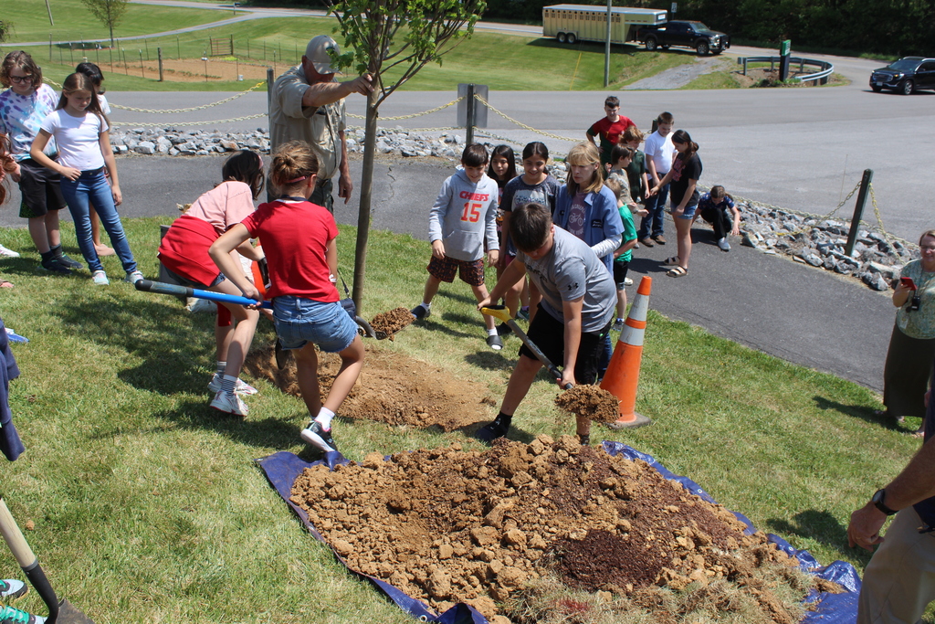 Students planting a tree