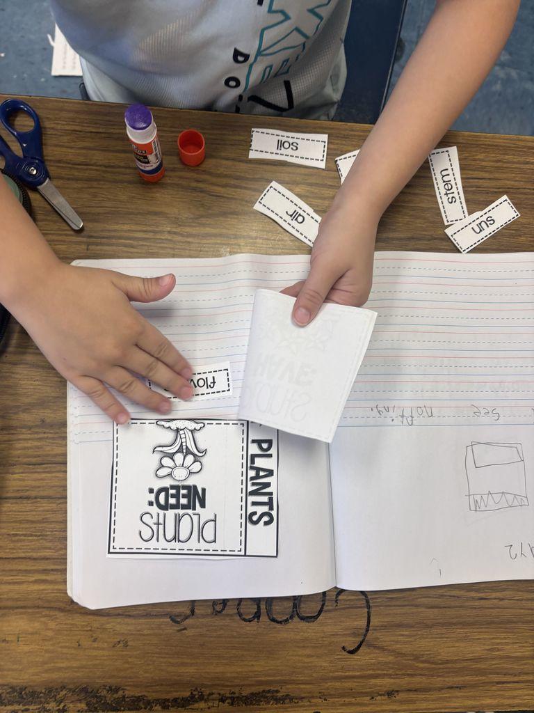 Meadowview Elementary School Plant Learning
