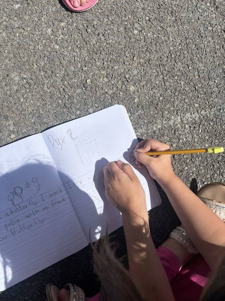 Meadowview Elementary School Plant Learning