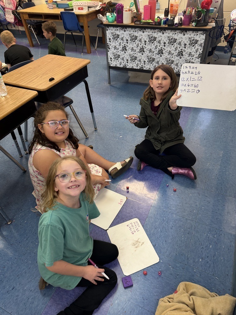 Meadowview Elementary School Math SOL Review
