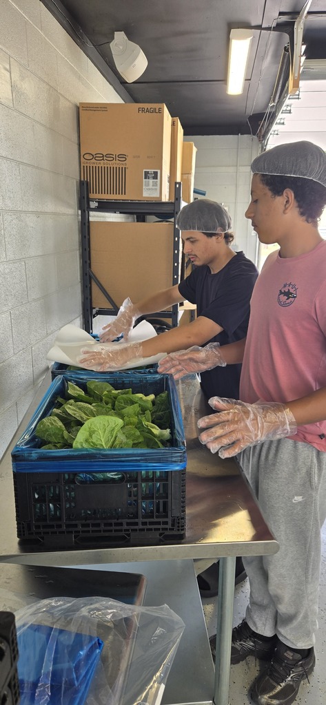 Holston High School Lettuce Harvest 