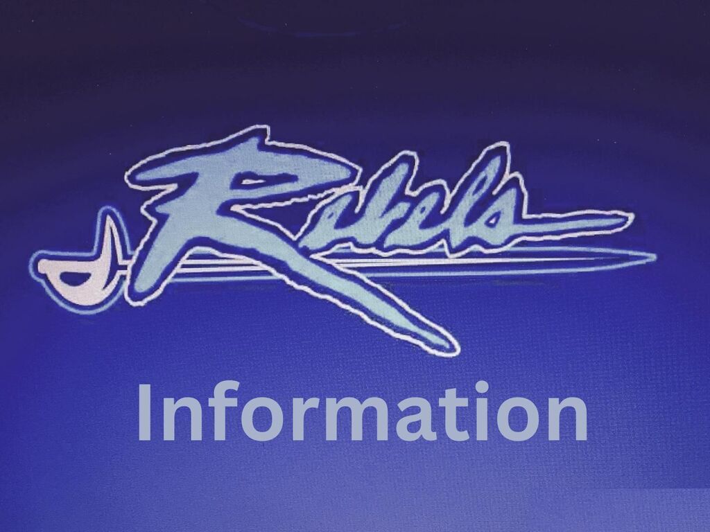 Rebel Flyer