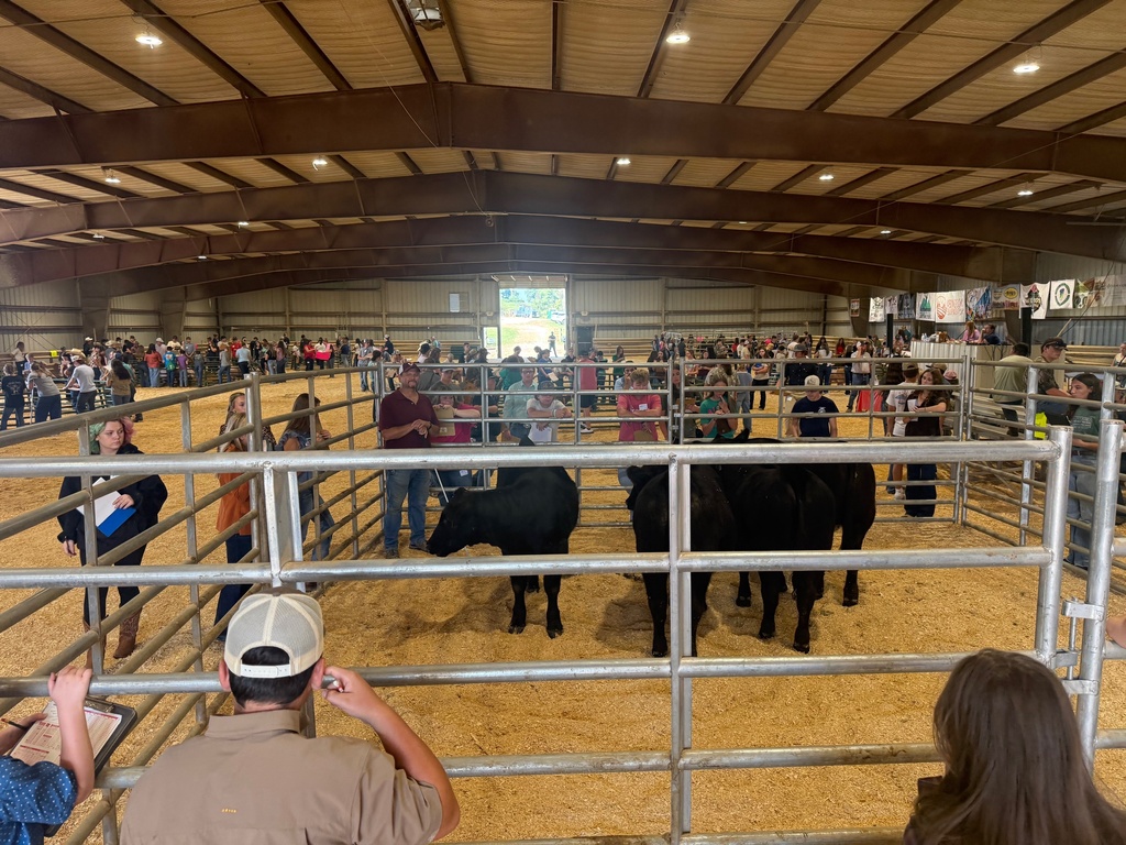 Washington County Fair - Livestock Judging