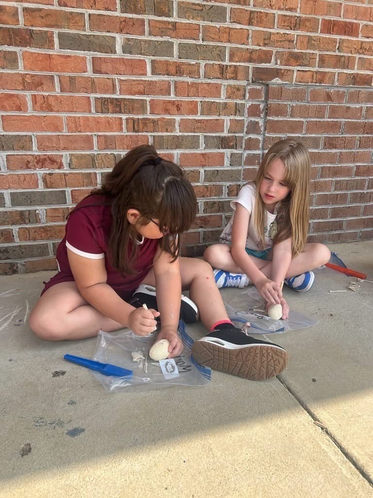 Meadowview Elementary School Paleontologists 