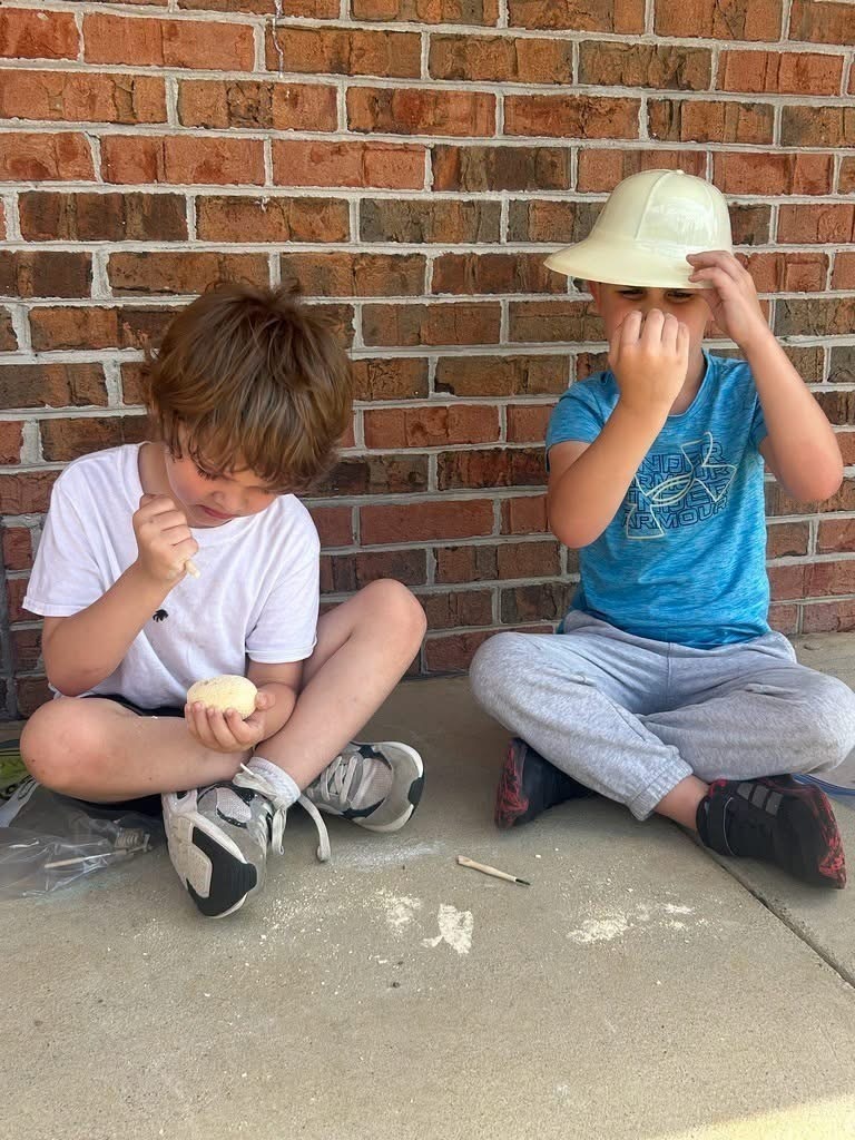 Meadowview Elementary School Paleontologists 