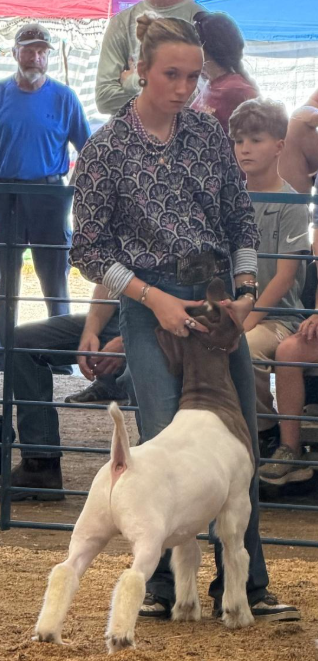 Abingdon FFA Member Named 2026 Virginia State Fair Master Showman