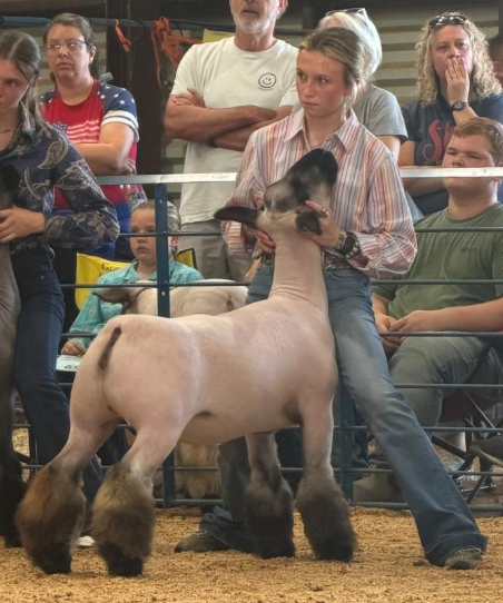 Abingdon FFA Member Named 2026 Virginia State Fair Master Showman