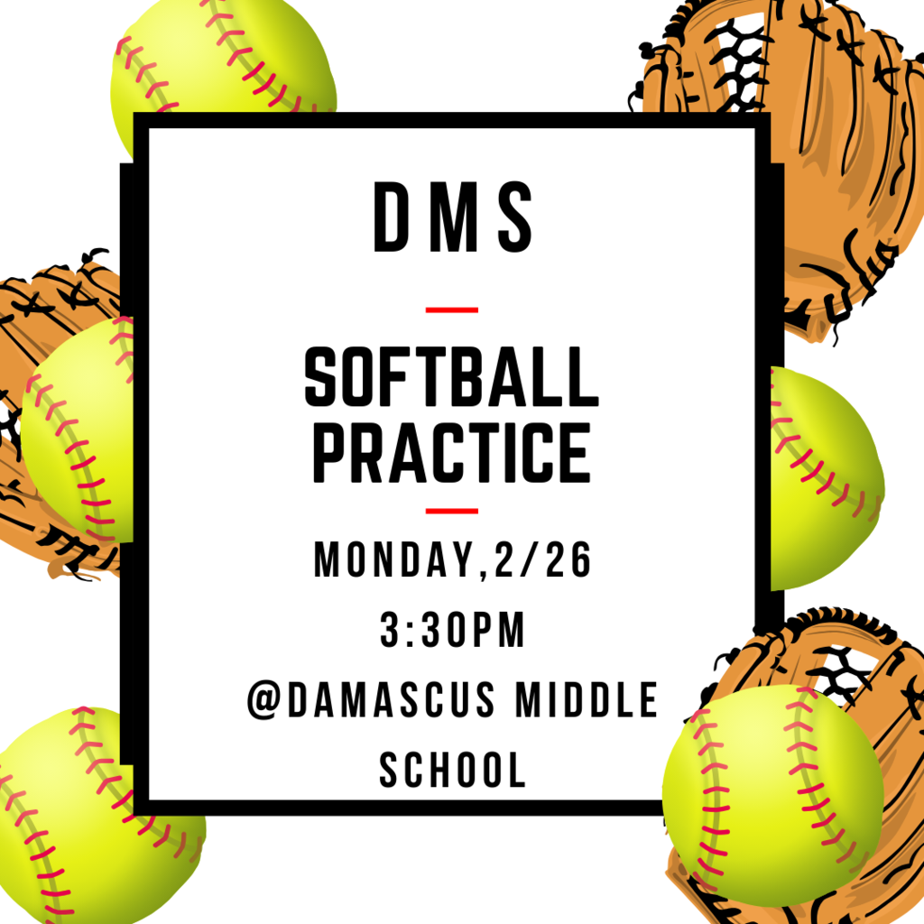 DMS Softball Practice