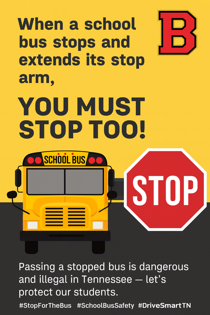 Tuesday bus