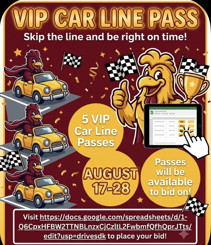 vip car line