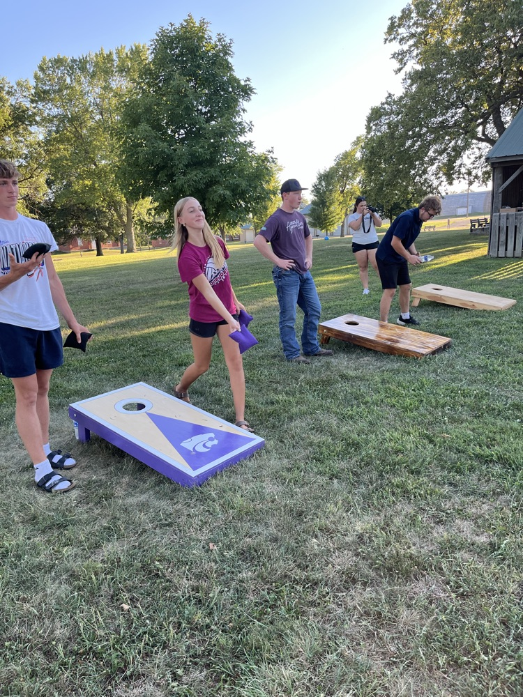 cornhole