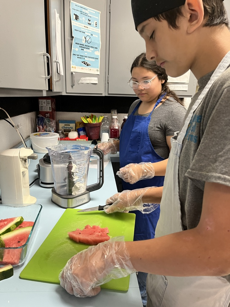 science project formula 1