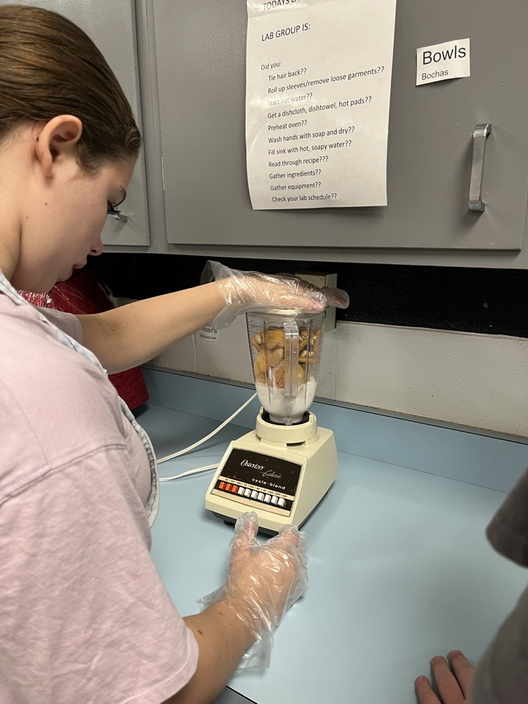 science project formula 1