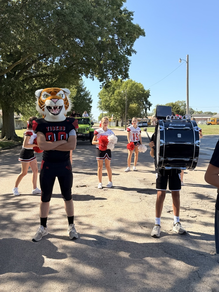 Tiger mascot