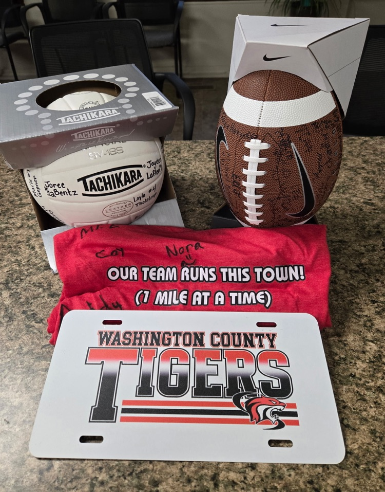 auction items for Friday night 