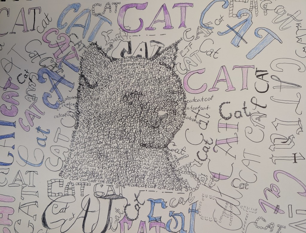 Cat drawing