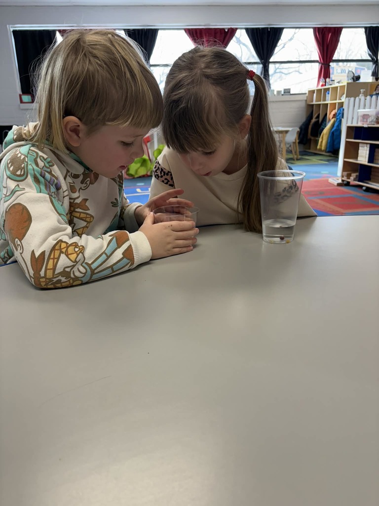 atlas and sira watch experiment