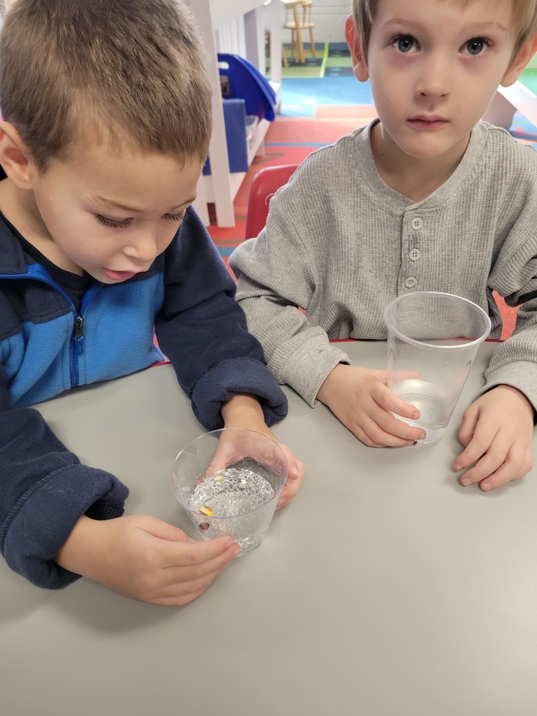 Anthony and Joey watch experiment 