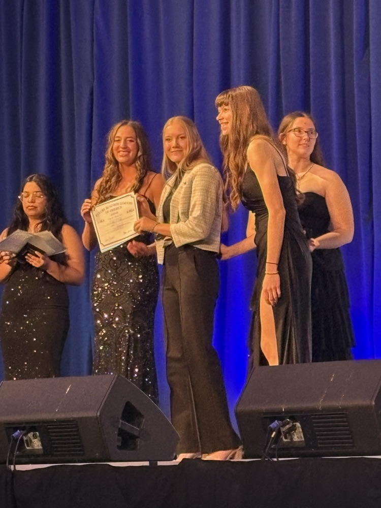 financial statement analysis 