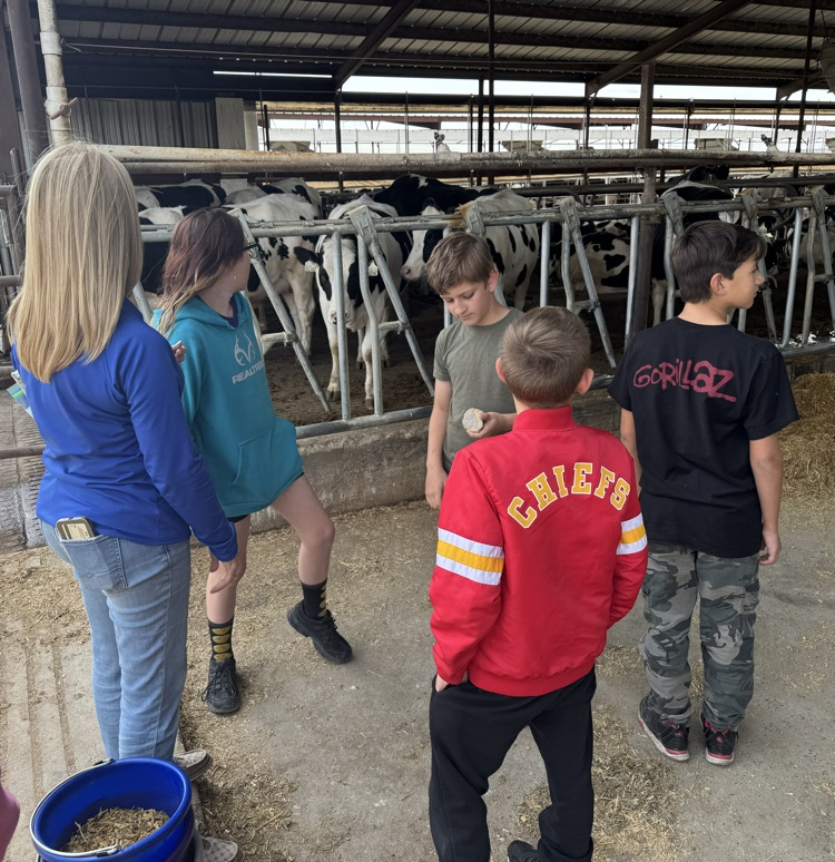 dairy facts 