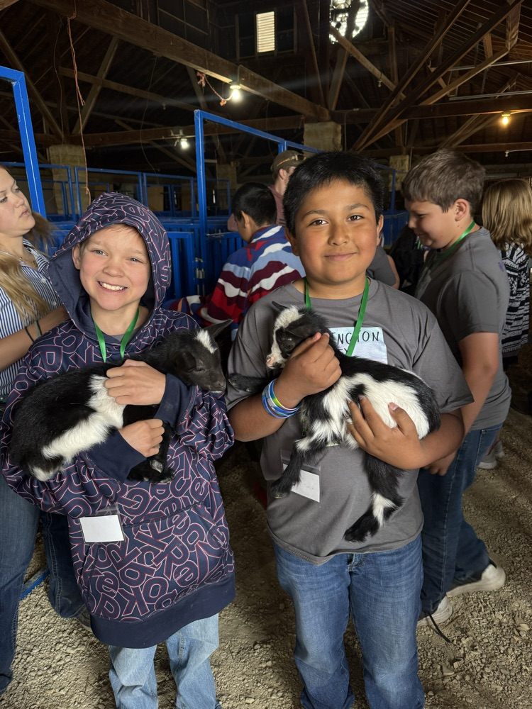 more goats