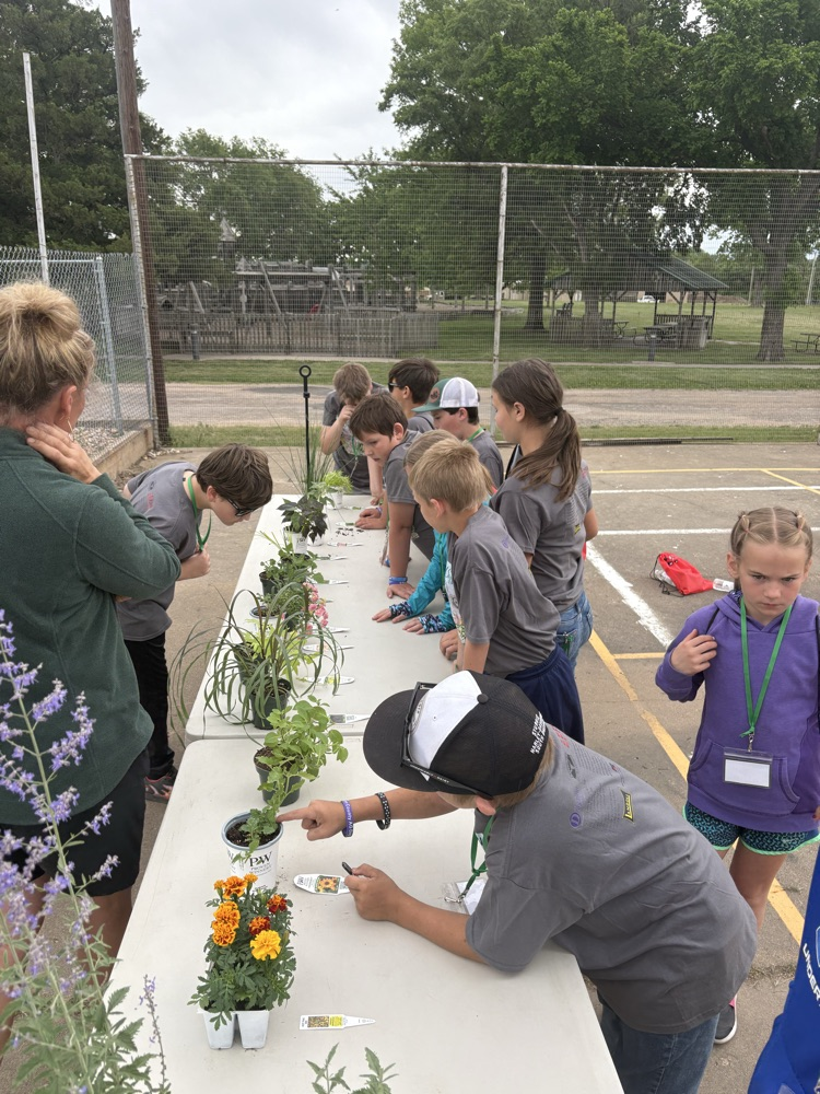 4th graders at ag day