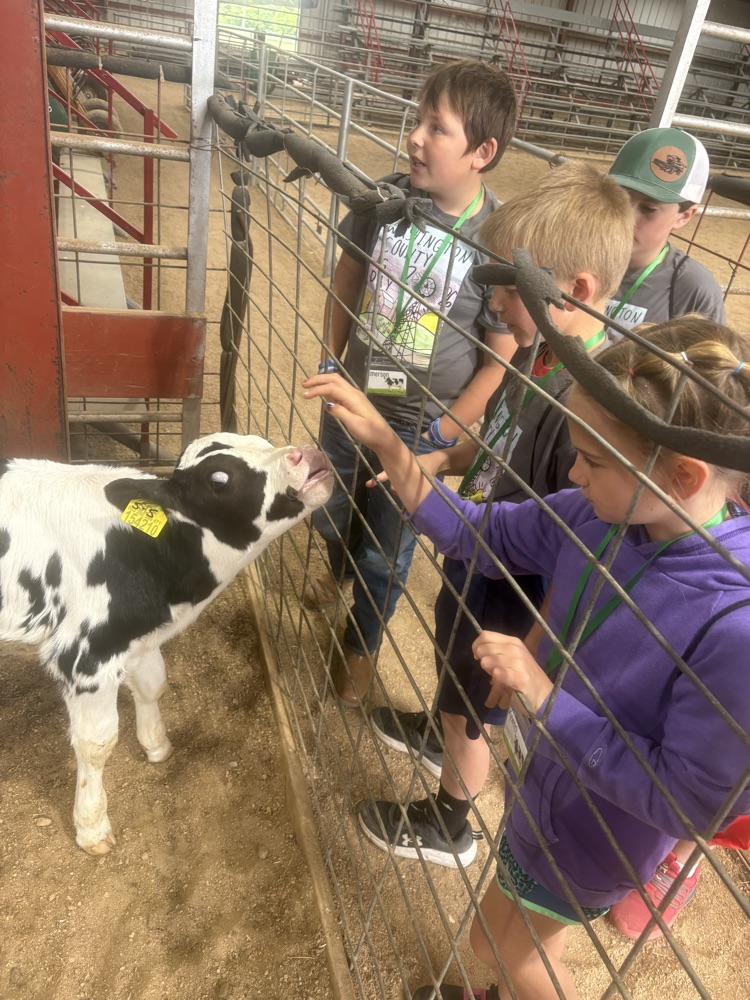 4th graders at ag day