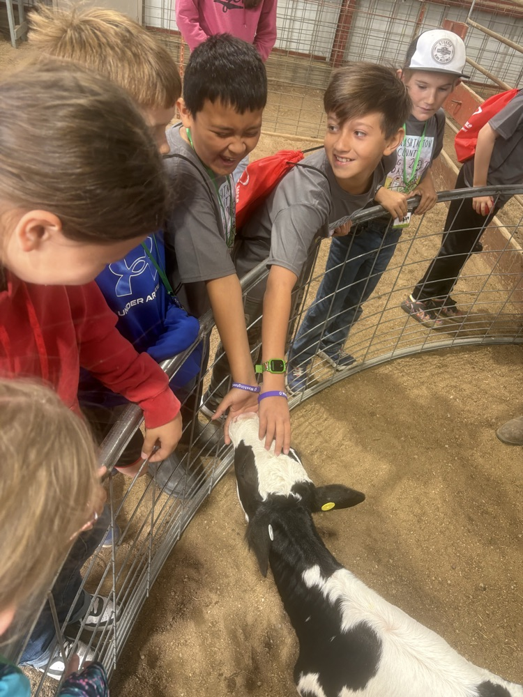 4th graders at ag day