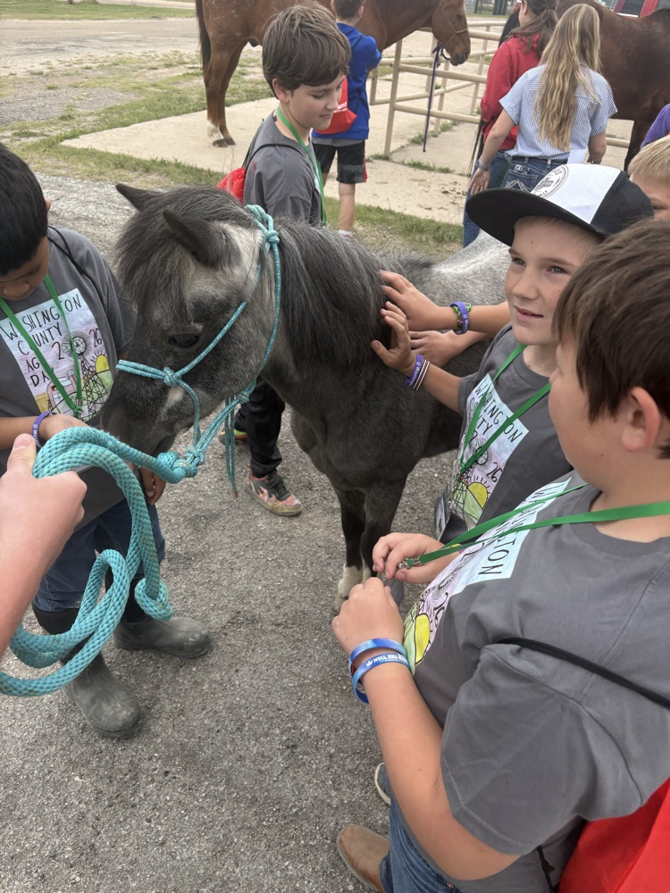 4th graders at ag day