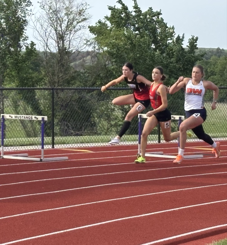 hurdles