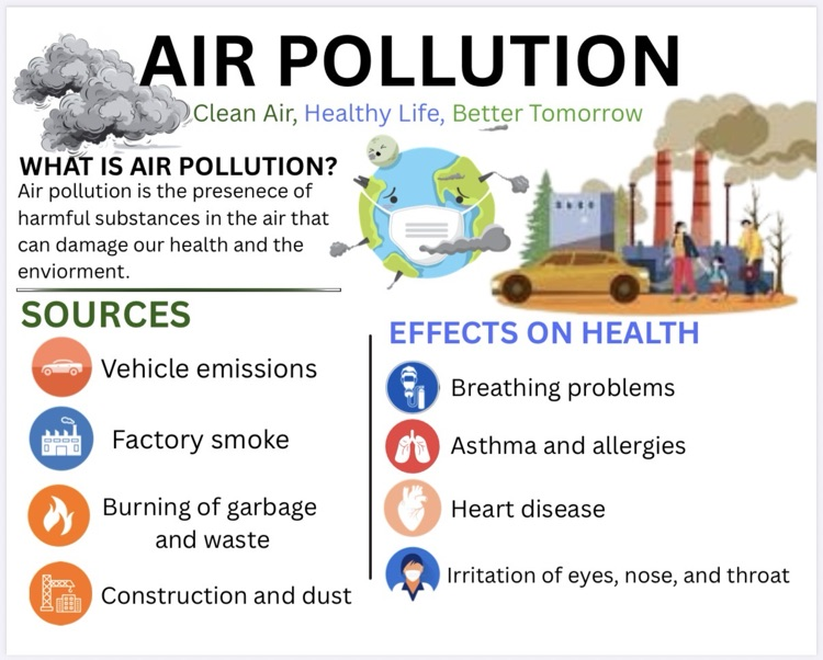 air pollution infographic