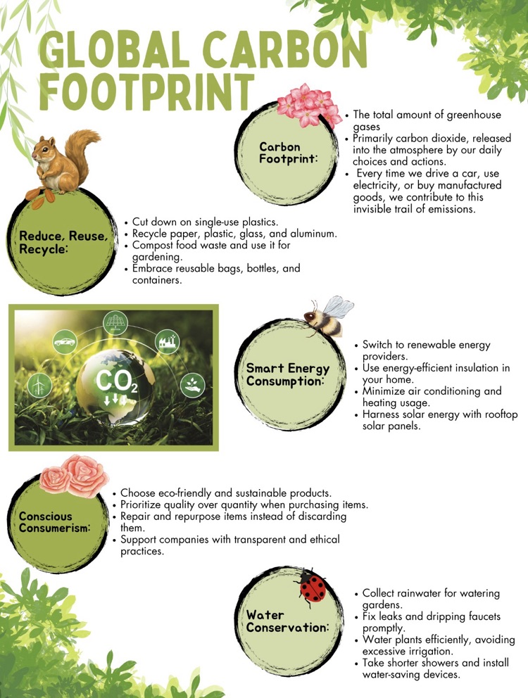 carbon footprint infographic