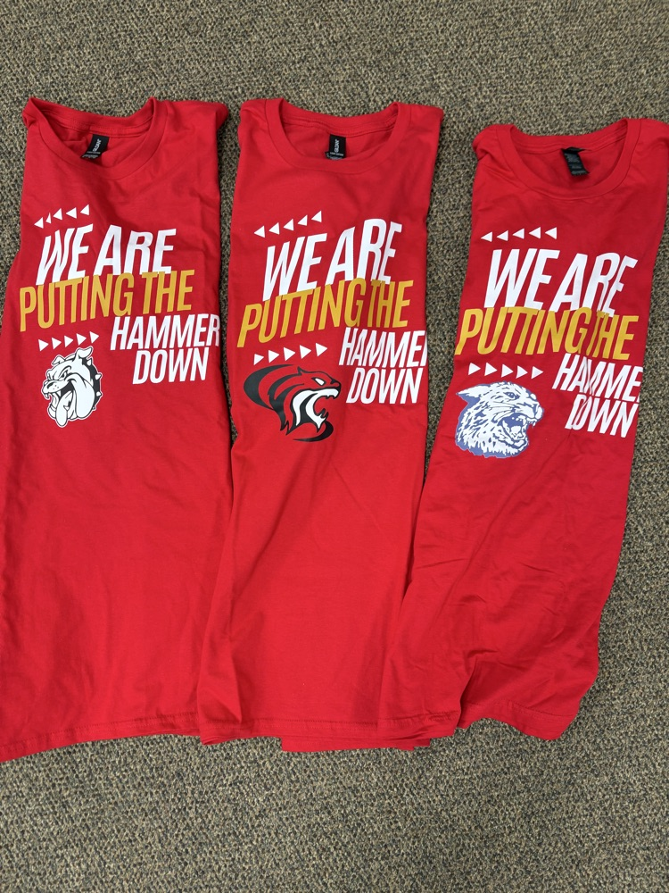 putting the hammer down shirts