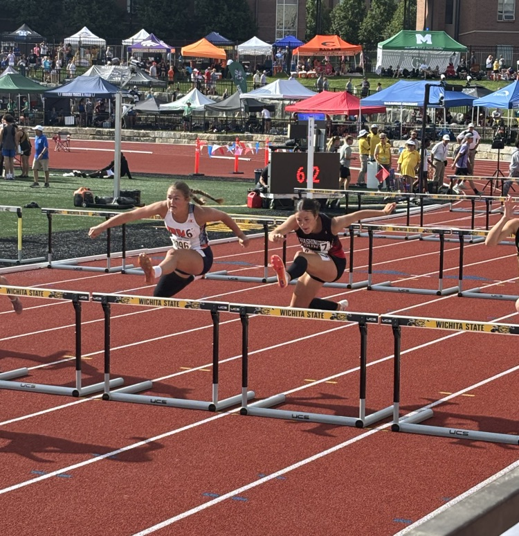hurdles